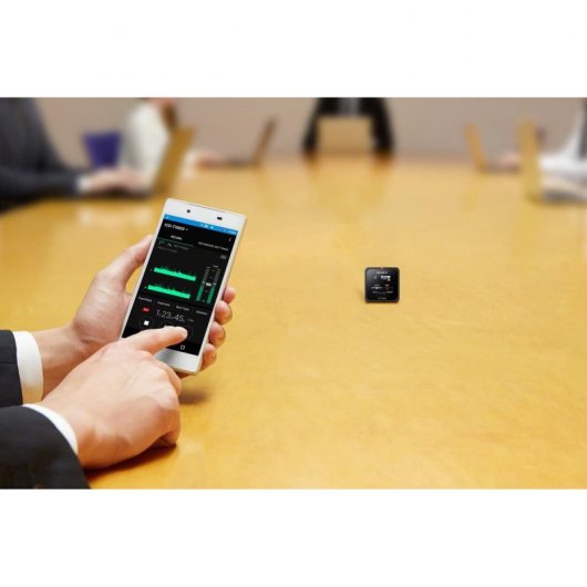 Sony ICD-TX800 Grabadora de Voz Digital 16GB