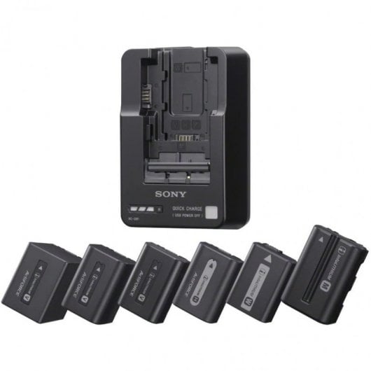 Sony BC-QM1 Cargador de Batería para Sony Series W/V/M/H/P