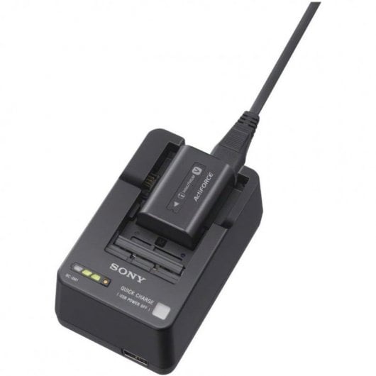 Sony BC-QM1 Cargador de Batería para Sony Series W/V/M/H/P