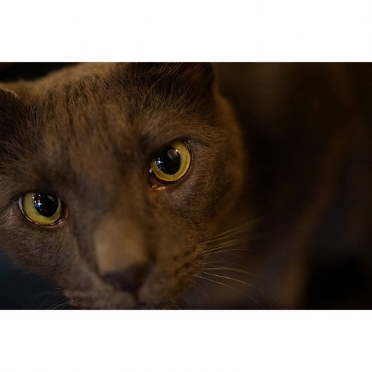 Sony FE 35 MM F1.8 MILC Noir