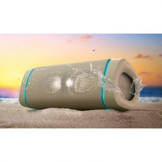 Sony SRS-XB33 Altavoz Bluetooth Gris