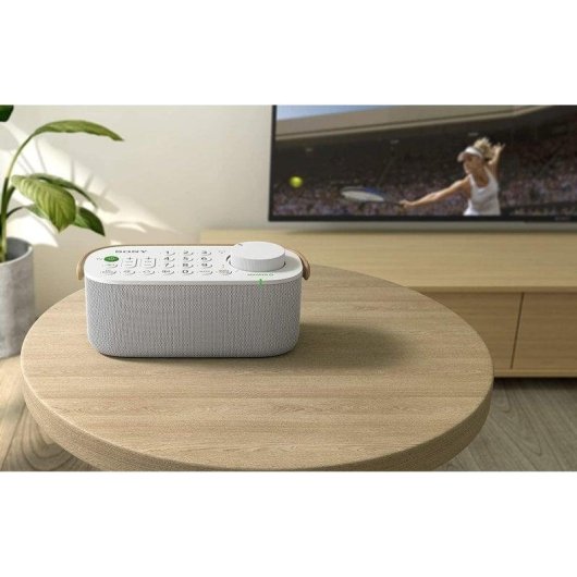 Barra de Som Sony SRS-LSR200 2.0 13W Sem Fios USB Tipo-C TV Branco