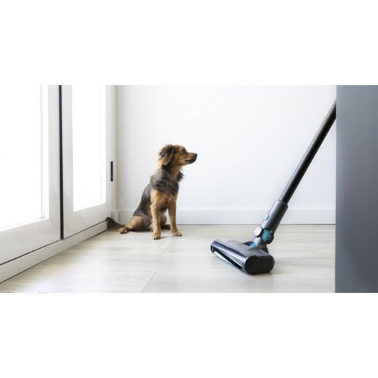 Cecotec Conga Rockstar 500 X-Treme Aspirador Escoba 430W