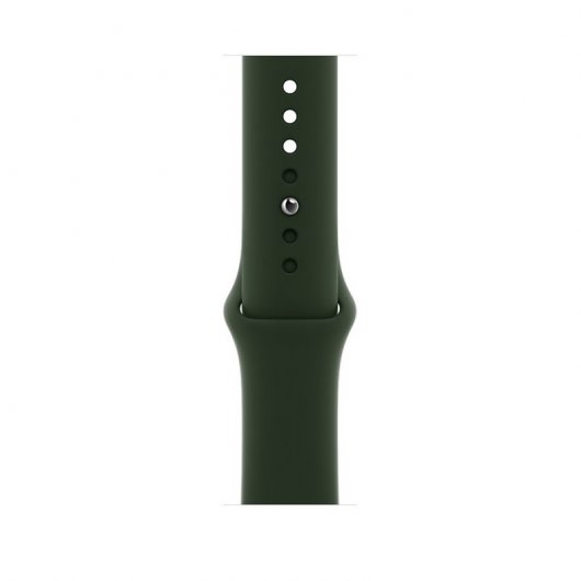 Apple Watch Series 6 GPS + Cellular 44mm Acero Inoxidable en Oro Correa Deportiva Verde Chipre