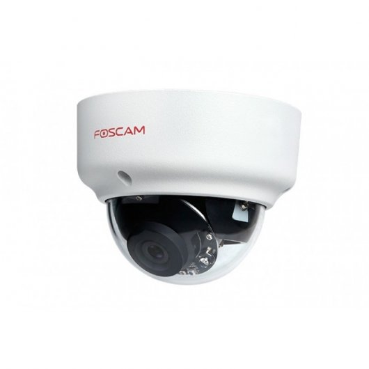 Foscam D2EP Cámara IP Exterior