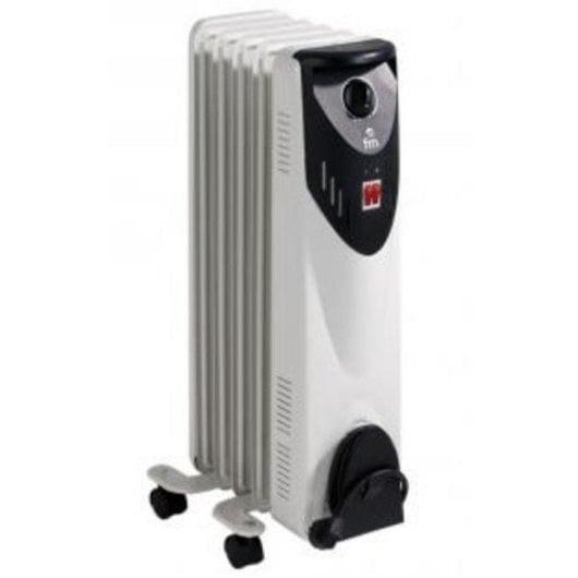 Radiatore Elettrico FM Calefacción RW-10 1000W compatto controllo manuale termostato regolabile