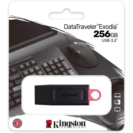 Clé USB Kingston DataTraveler Exodia 256GB USB 3.2 Gen 1