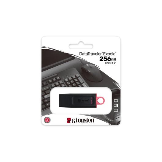 Clé USB Kingston DataTraveler Exodia 256GB USB 3.2 Gen 1