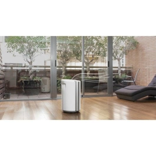 Cecotec Big Dry 9000 Professional Deshumidificador 4.5L