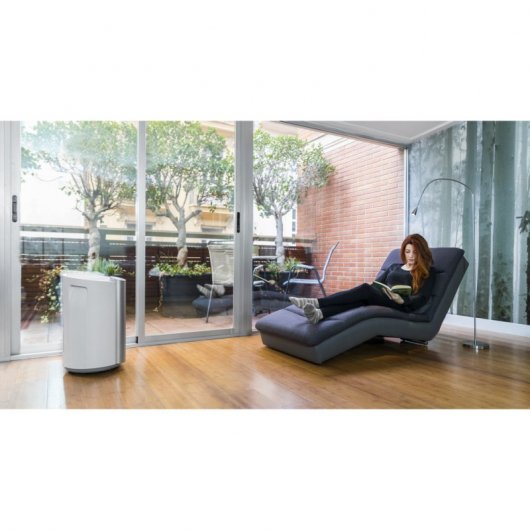 Cecotec Big Dry 9000 Professional Desumidificador 4.5L