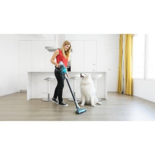 Aspirador sem Fio Cecotec Conga Rockstar 900 X-Treme 600W 90min Animais Alergias 0,6L