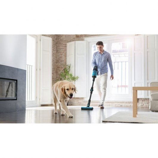 Cecotec Rockstar 900 Ultimate ErgoFlex Aspirador Vertical 600W