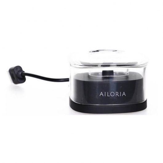 Ailoria SHINE BRIGHT Adulte Brosse à dents à ultrasons Noir, Argent