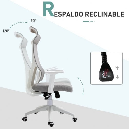 Vinsetto Silla de Oficina Ergonómica y Ajustable Gris