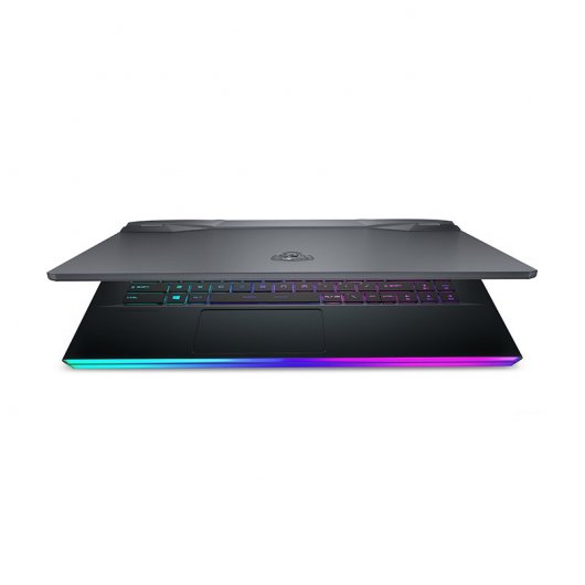 MSI GE66 Raider 10SFS-624ES Intel Core i7-10875H/32GB/1TB SSD/RTX 2070 SUPER/15.6"