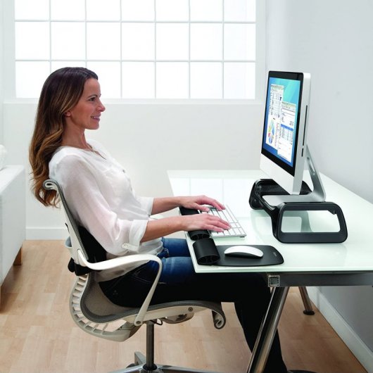 Support d'écran Fellowes I-Spire Series, noir