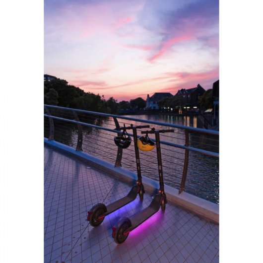Segway Ninebot Kickscooter E25E Patinete Eléctrico