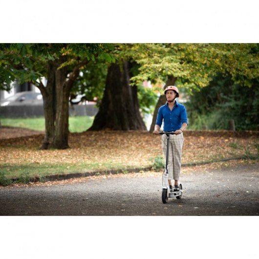 Segway Ninebot KickScooter MAX G30LE Trotinete Elétrica