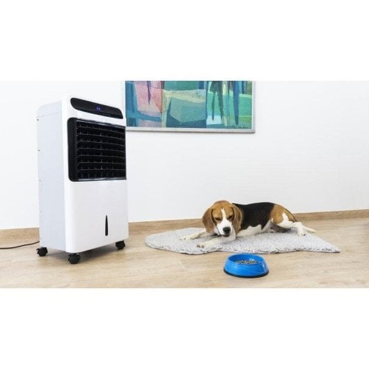 Climatizzatore portatile Cecotec EnergySilence PureTech 6500 80W 4 in 1 12L LCD