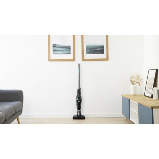 Aspirador sem Fio Cecotec Conga PopStar 2900 ErgoFlex 29,6V 60min Animais Depósito 0,8L