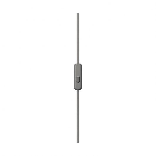 Sony MDR-1AM2 Auriculares Hi-Res Plateados
