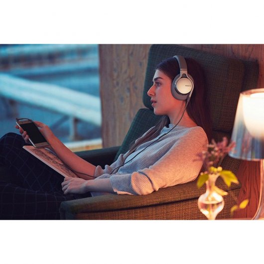Sony MDR-1AM2 Auriculares Hi-Res Plateados