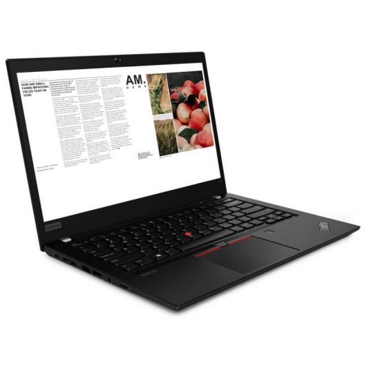 Lenovo ThinkPad T14 AMD Ryzen 5 PRO 4650U/8GB/256GB SSD/14"