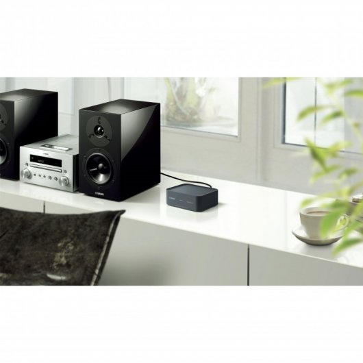 Yamaha WXAD-10 Ethernet/LAN Wifi Gris