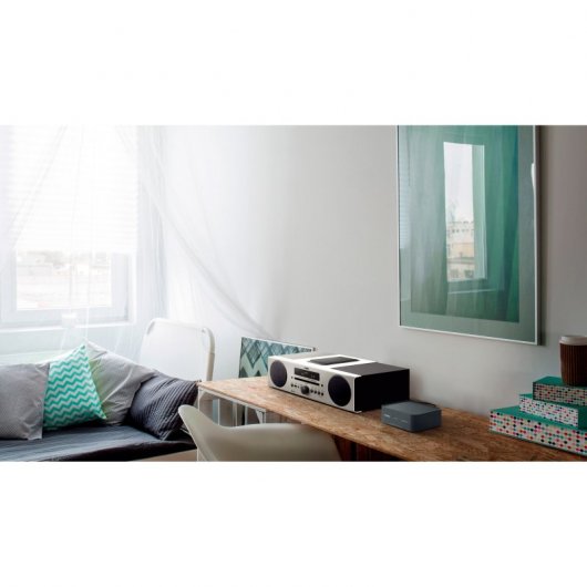 Yamaha WXAD-10 Ethernet/LAN Wifi Gris