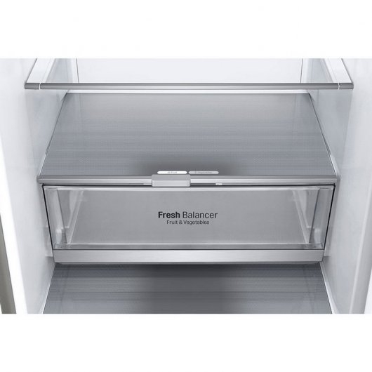 LG GBB71NSDFN Frigorífico Combi D Acero Inoxidable