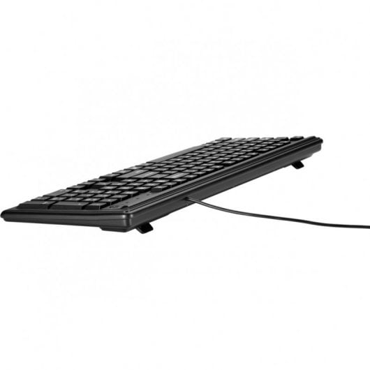 HP Tastiera Keyboard 100