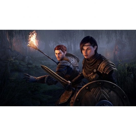 Collezione The Elder Scrolls Online: Blackwood PS4