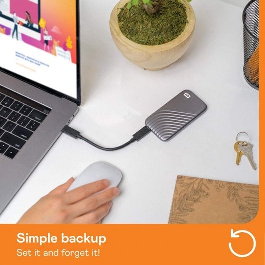 WD My Passport SSD 1TB USB-C Cinzento