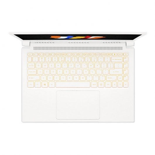 Acer ConceptD 3 Pro CN314-72P-70LX Intel Core i7-10750H/16GB/1TB SSD/Quadro T1000/14"