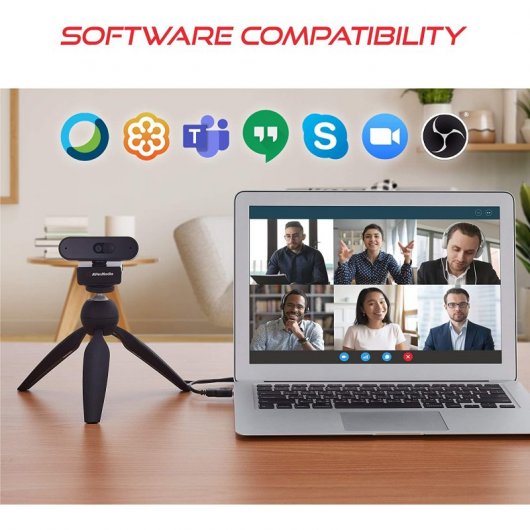 Avermedia PW310P Webcam FullHD Negra