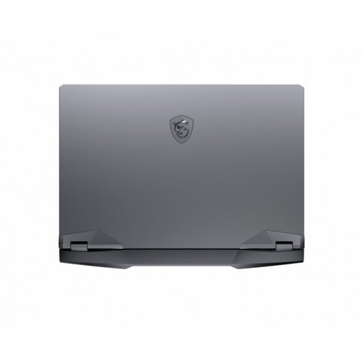 MSI GE66 Raider 10UG-224ES Intel Core i7-10870H/32GB/1TB SSD/RTX 3070/15.6"