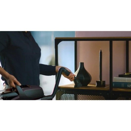 AEG FX9-1-4IG Aspirador Escoba/Mano Ciclónico sin Cable 36V