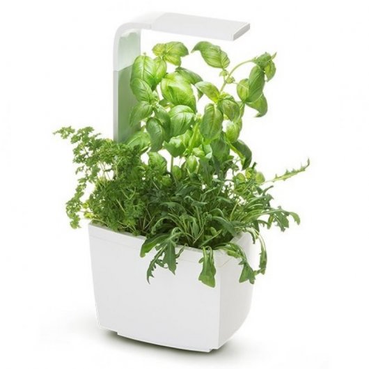 Tregren T3 Huerto de Cocina Inteligente Blanco