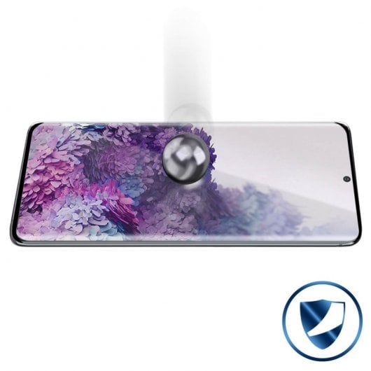 Avizar Protector Cristal Templado Negro para Samsung Galaxy S20 Plus