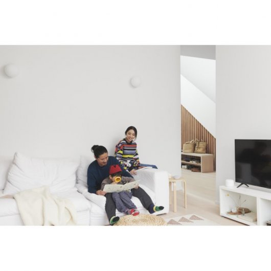 Google Pack Nest Wifi Router+Punto Blanco + Nest Mini Altavoz Inteligente y Asistente Carbón
