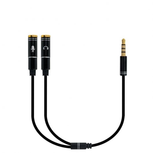 Ewent 3,5 m Klinken-Audio-Adapterkabel auf 2 x 3-polige 3,5-H-Klinkenstecker, 30 cm, Schwarz