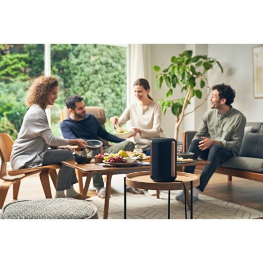 Sony SRS-RA3000 Altavoz Inalámbrico Premium Negro