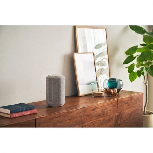 Sony SRS-RA3000 Coluna Sem Fios Premium Cinzenta