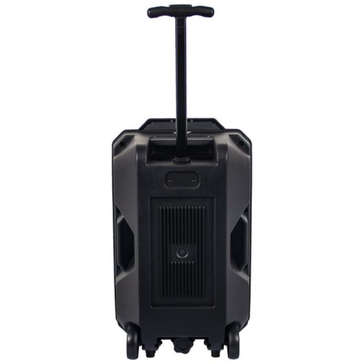 Altoparlante Bluetooth portatile Denver TSP-120 da 8 W