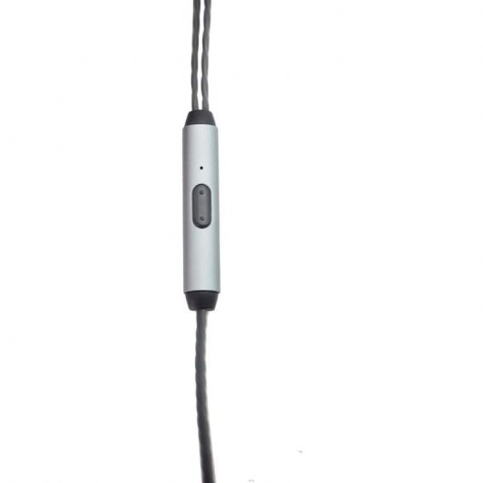 Aiwa ESTM-100 Auriculares con Micrófono Plateados