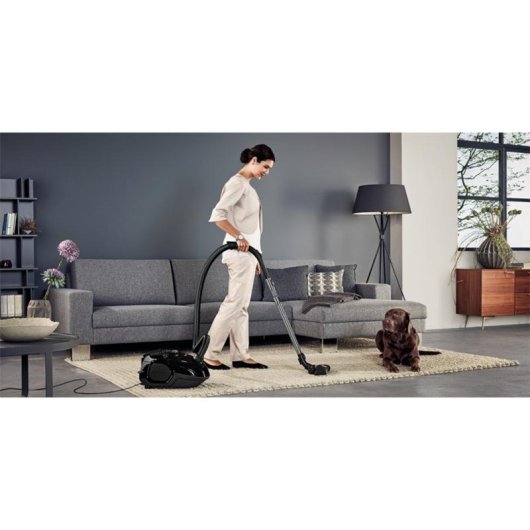 AEG VX7-2-ECO Aspirador con Bolsa 650W Negro