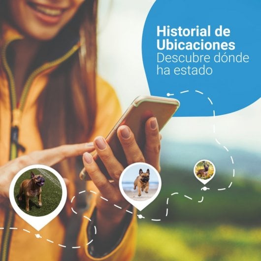 Tractive Dog 4 GPS de Seguimiento y Actividad Para Perros