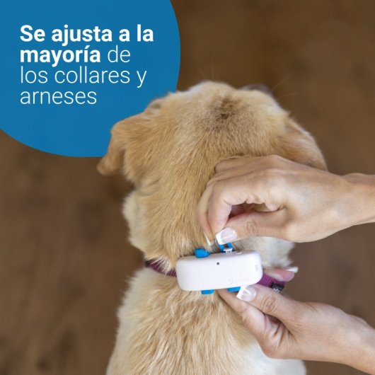 Tractive Dog 4 GPS de Seguimiento y Actividad Para Perros