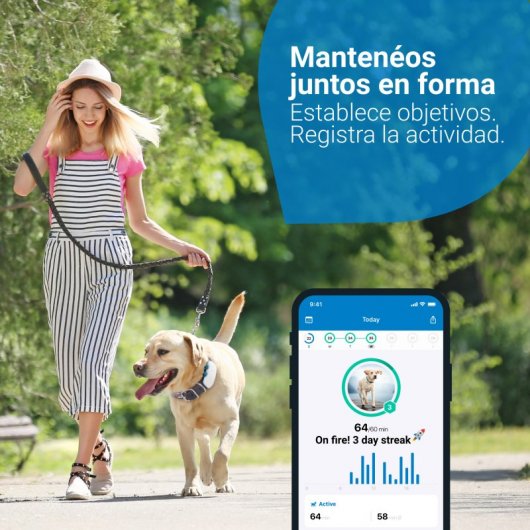 Tractive Dog 4 GPS de Seguimiento y Actividad Para Perros