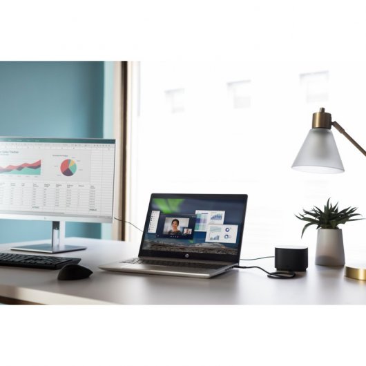 HP USB Fingerprint Mouse Maus Beidhändig USB Typ-A